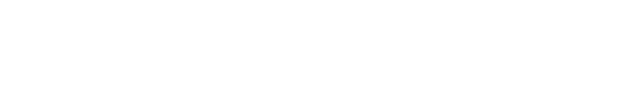 Studio Nurettin Logo
